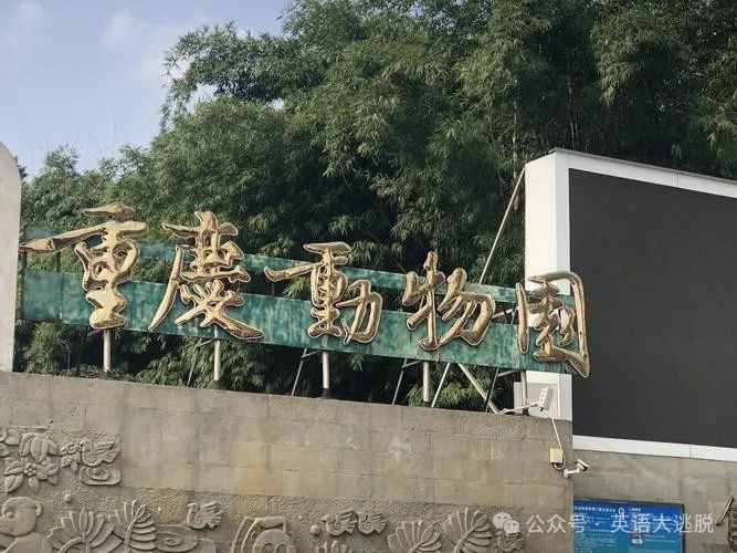 重庆旅游攻略 | 热门景点路线指南来了!