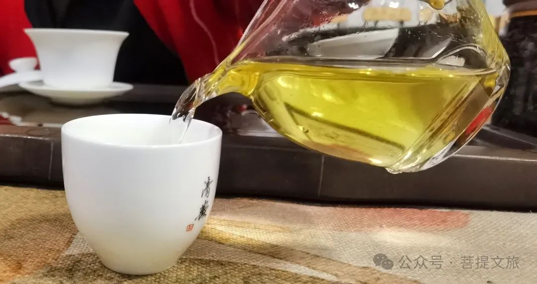 江湖乱荡丨在旅行中去喝点茶!