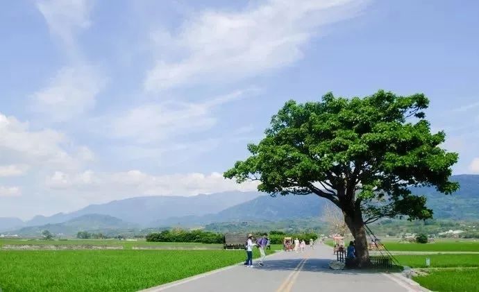 乡村文旅如何从传统模式走向创新与可持续发展