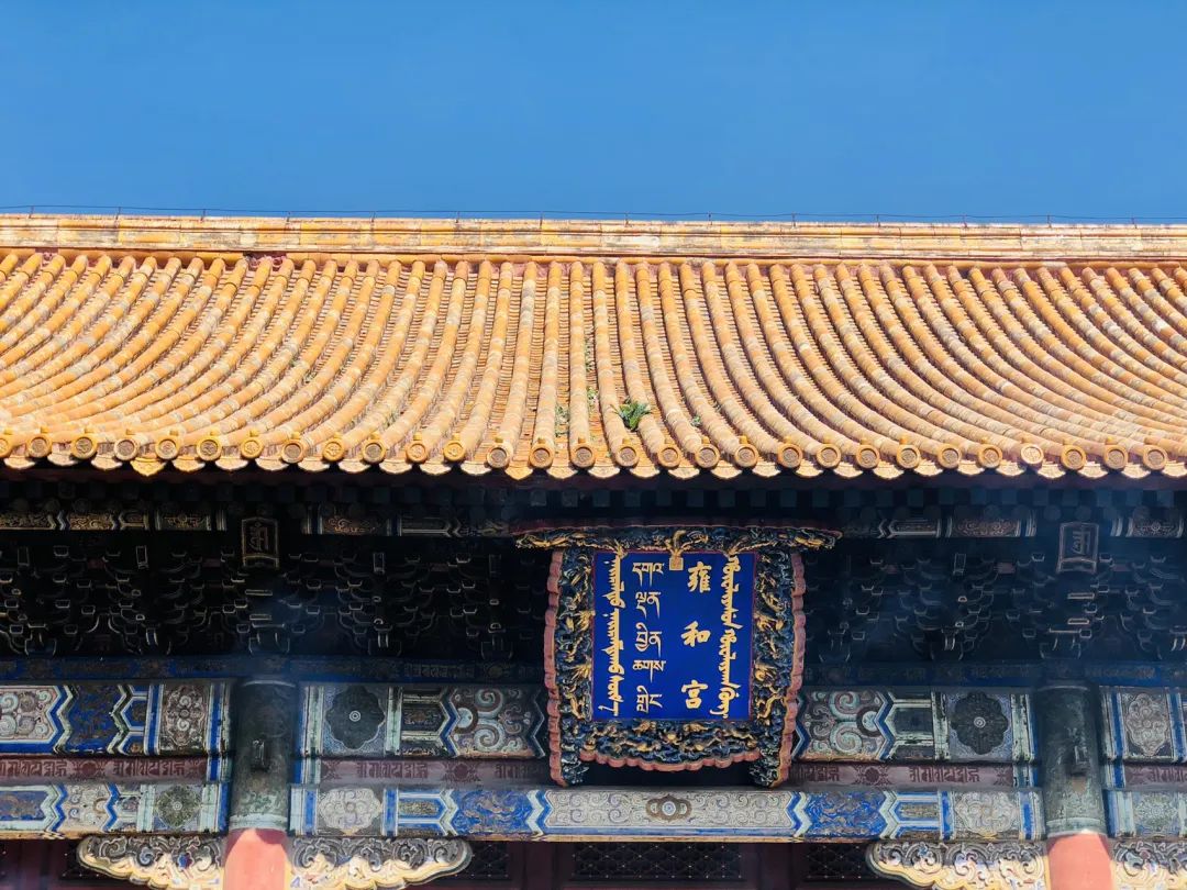 阿漓 | 雍和宫,天坛公园游玩