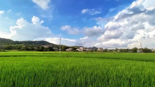 2024乡村振兴|文旅36项奖补政策(1)