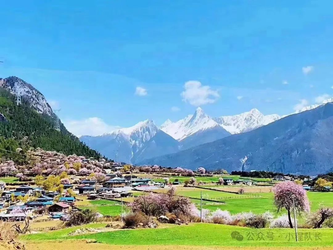 林芝桃花节丨滇藏线8天7晚深度旅拍自驾