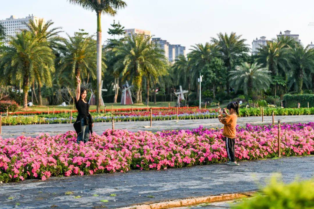 春暖花开 市民游玩正当时