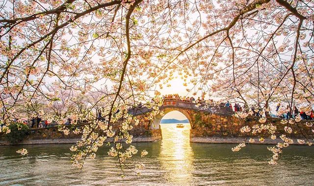 3月2日 感受禅意生活,观赏红嘴鸥飞舞——无锡灵山大佛、拈花湾、鼋头渚赏樱花跟团纯玩二!门票全含无自理,含1早2正餐.
