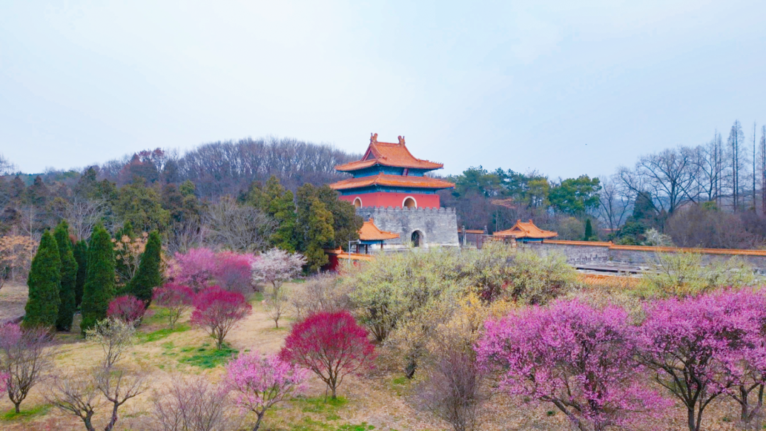 通知!钟祥多景点、场馆临时暂停接待!