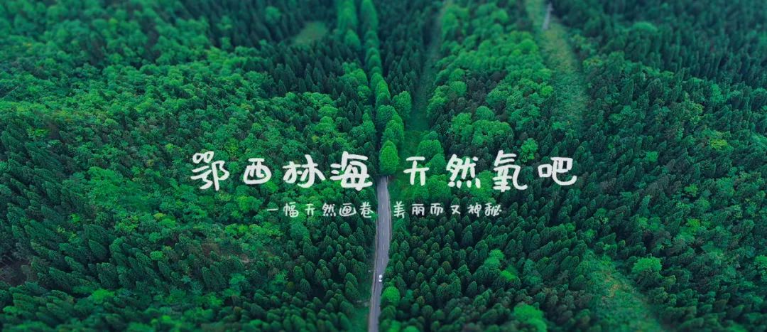 恩施坪坝营景区邀您 齐乐long long 过元宵