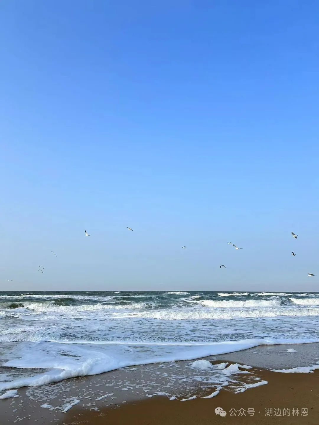 威海游记