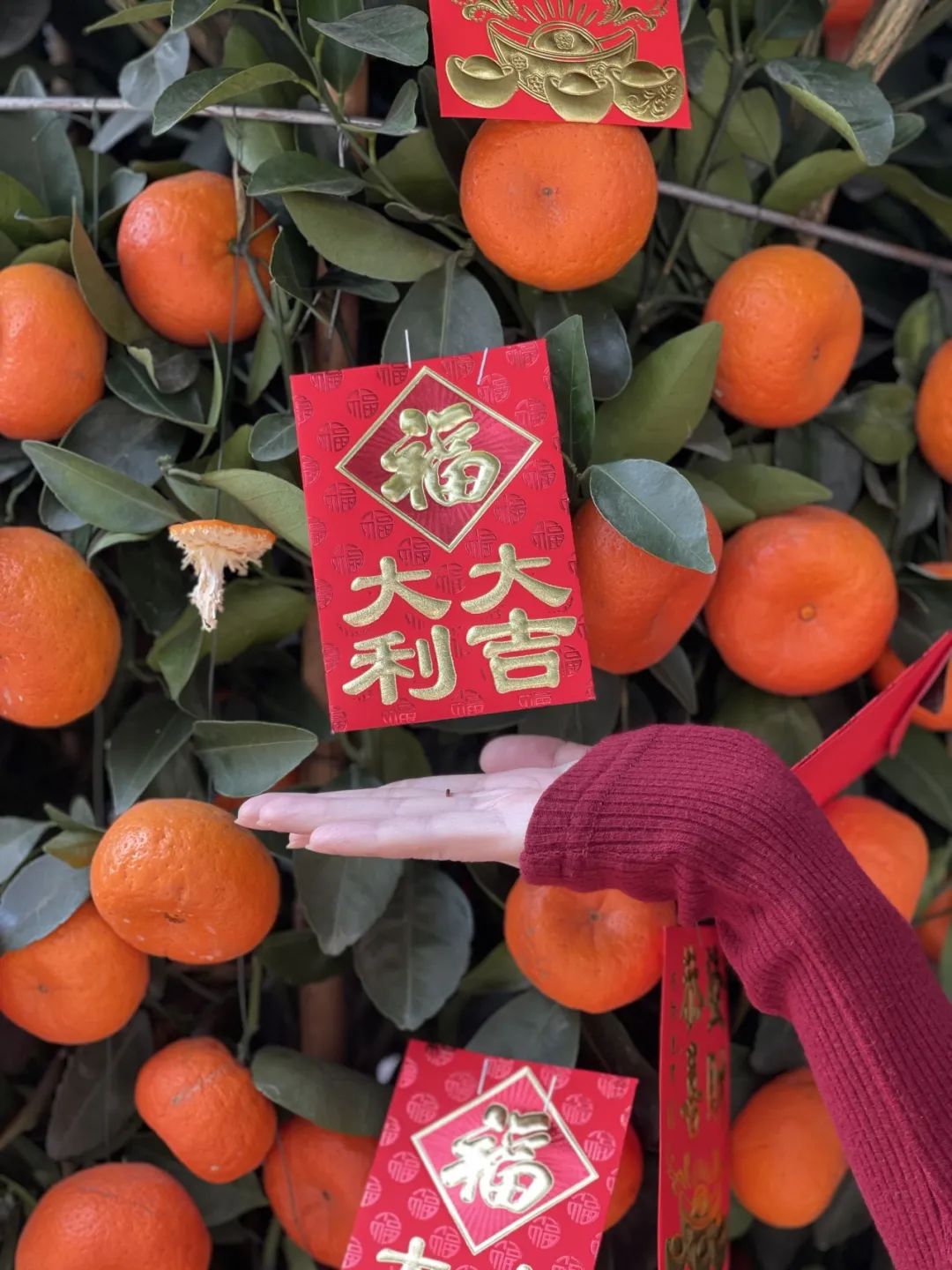 旅行这么穿,拍照效果炸裂,还贼舒服~
