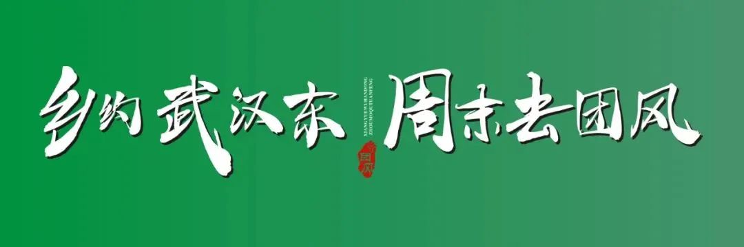 迎寒除雪,文旅在行动→