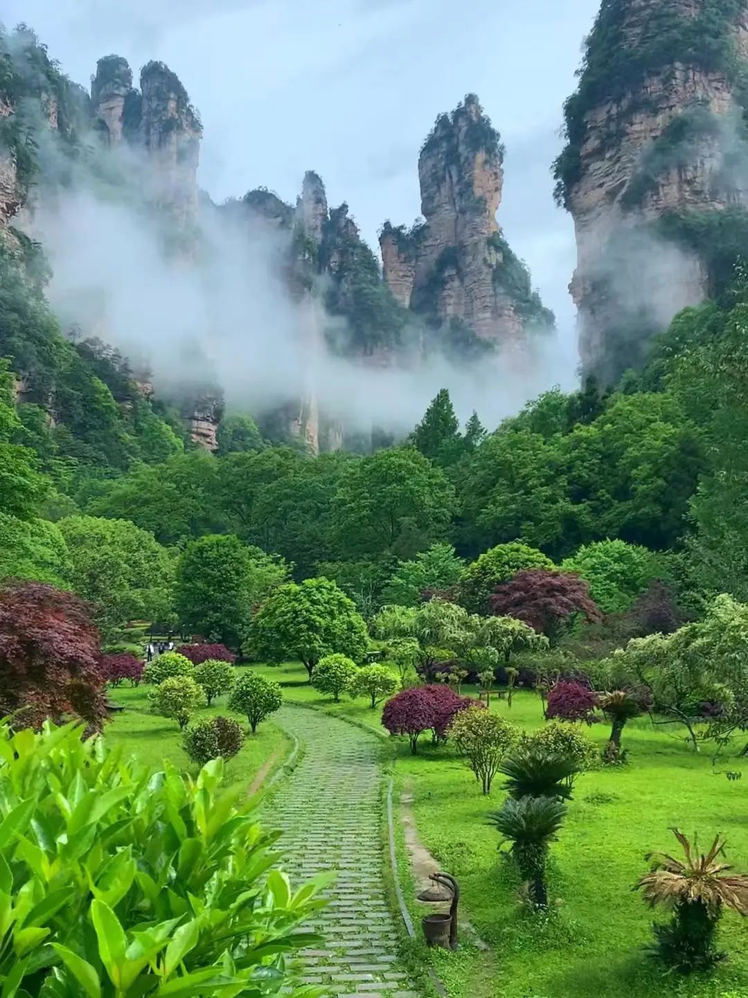 张家界旅游景点路线分享!详细张家界旅游攻略+路线+导游+住宿