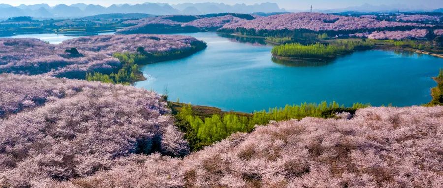 贵州纯玩5日游:60周岁以上1790元,高性价比,适合老年人的行程