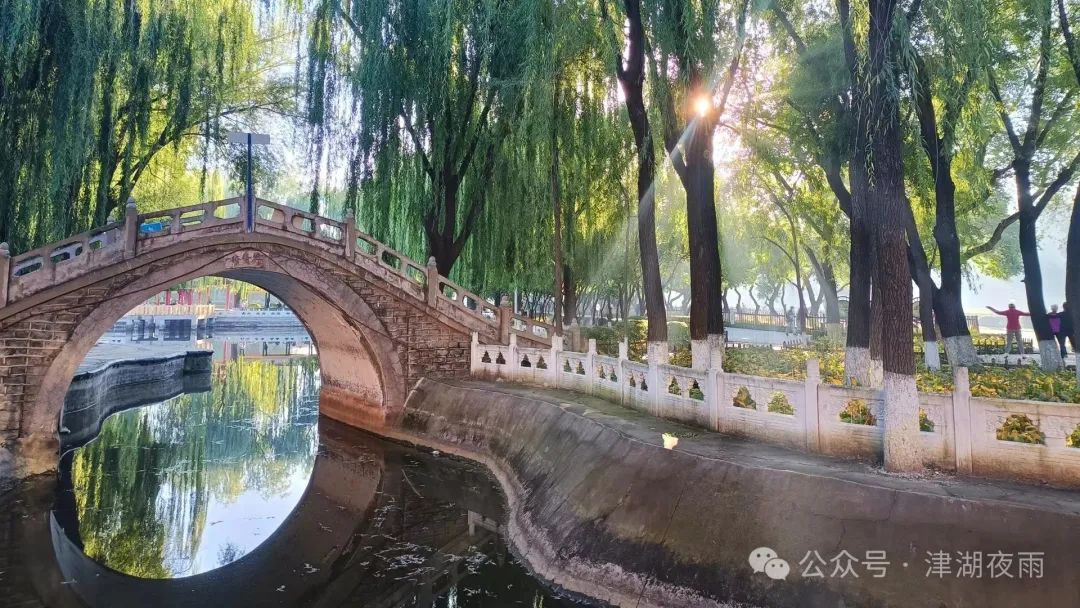 开启龙年春天的旅行——新网师春季课程学习目标