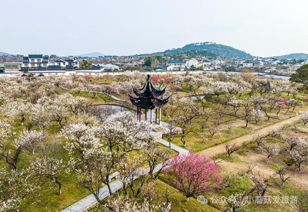苏州免费赏梅胜地景点,你去过几个?