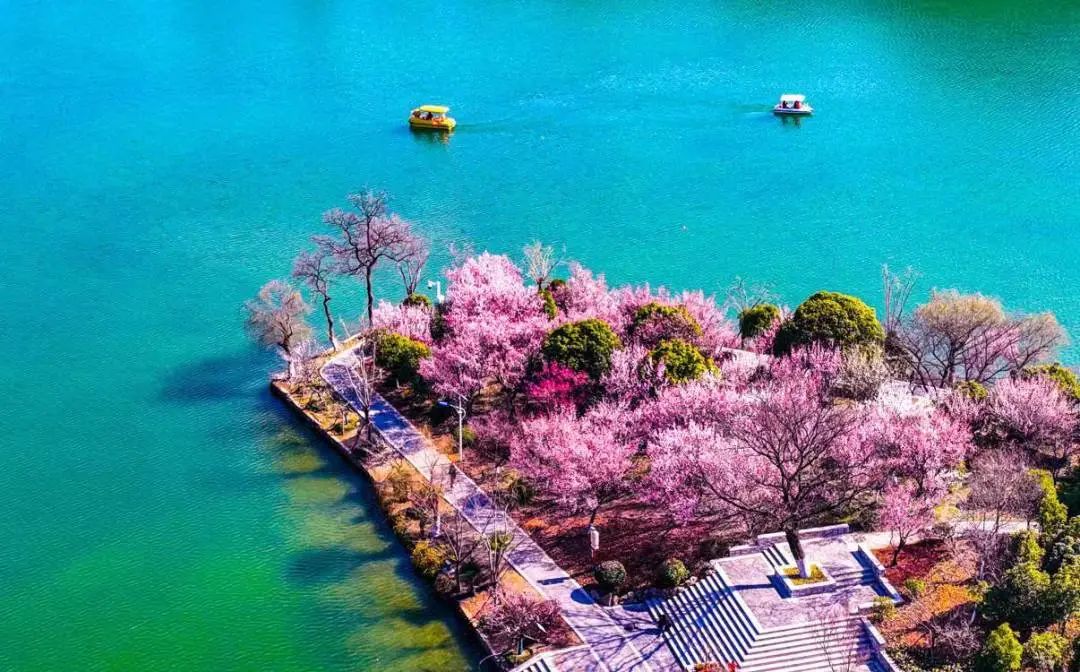 3月,南京这3家景点将免费开放!