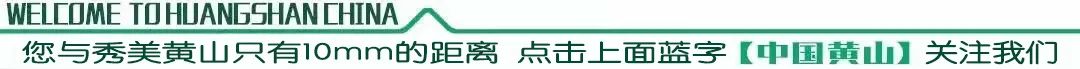 【文旅传真(3)】旅游新体验,大黄山不只有黄山