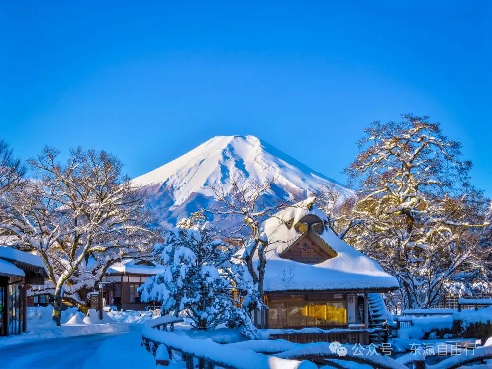 富士山一日游,6条线路由你选!每天可发团