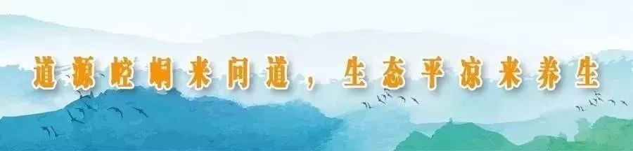 2024年全市文化广电和旅游工作会议召开