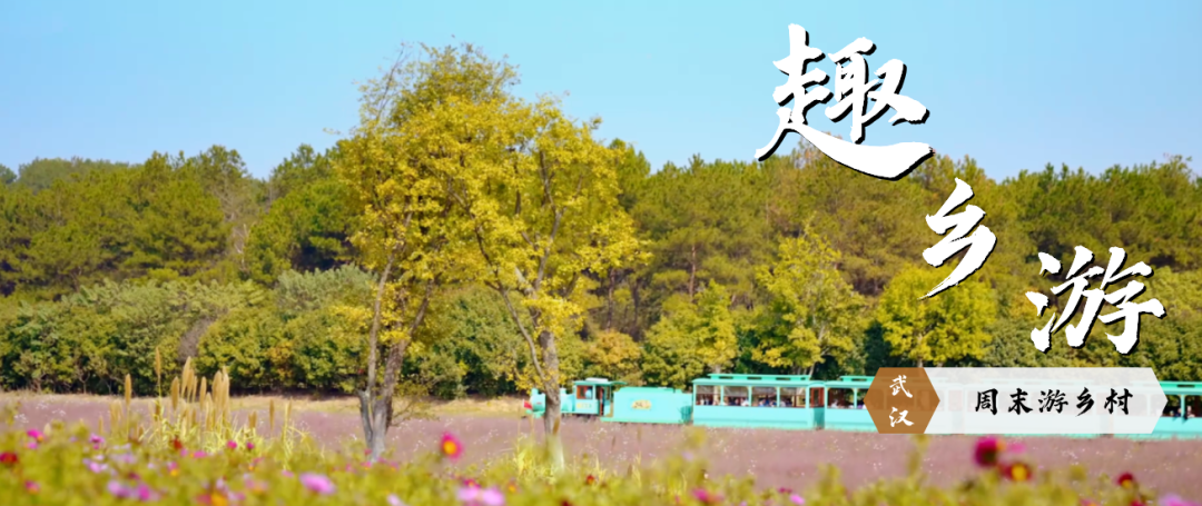 《趣乡游》视频特辑第二十四站:武汉乡村·周末游