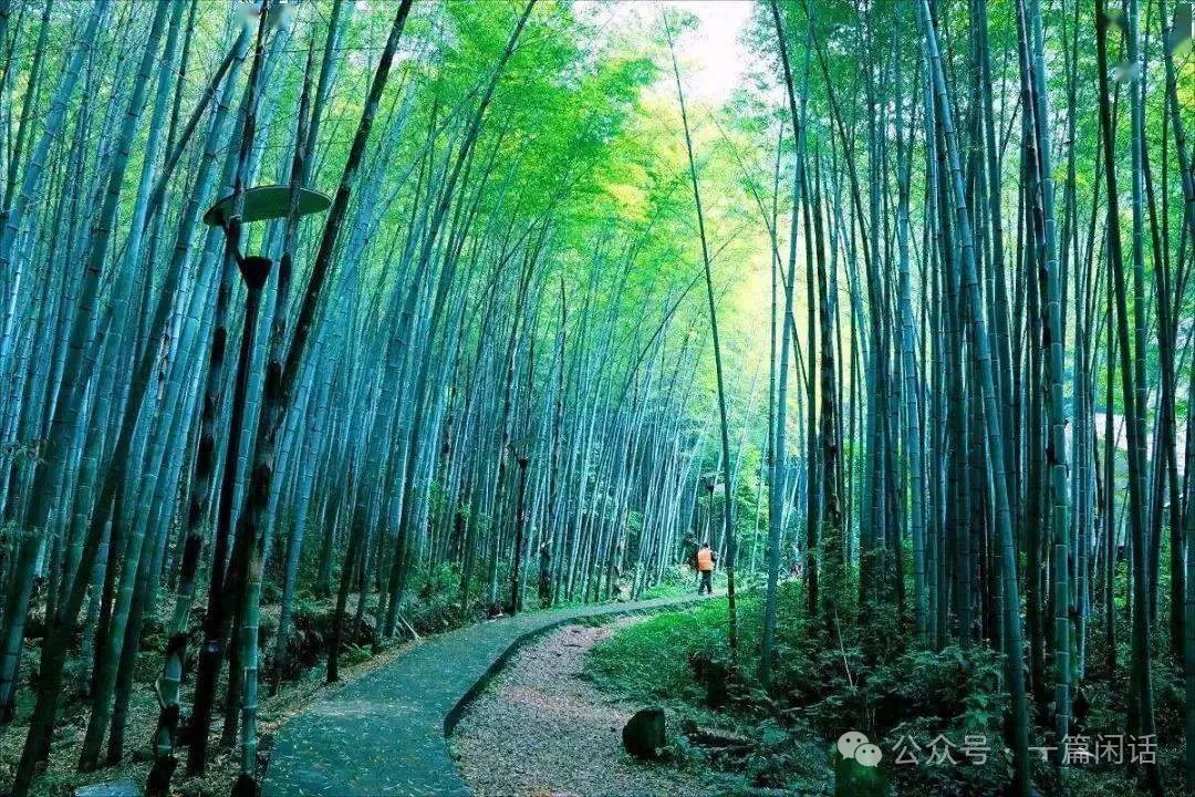 永川区十大最值得去的景点,看看你去过几处