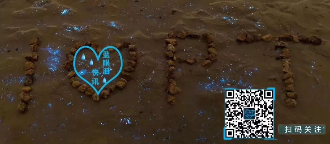景区回复!游客反映平潭龙王头卫生和不规范经营的问题