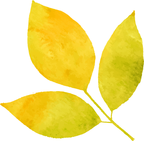 长江游记·南京篇(上)