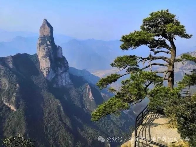 2024年3月8日(周五)神仙居风景区环线徒步1日行