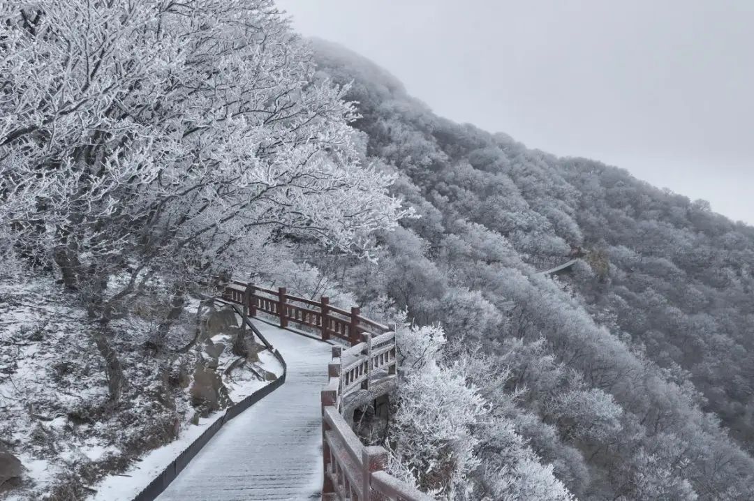 焦作旅游必去十大景点!探寻必去景点,领略无限风光与深厚文化!