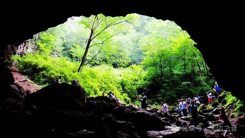 [游记] 深山里有一片地下森林