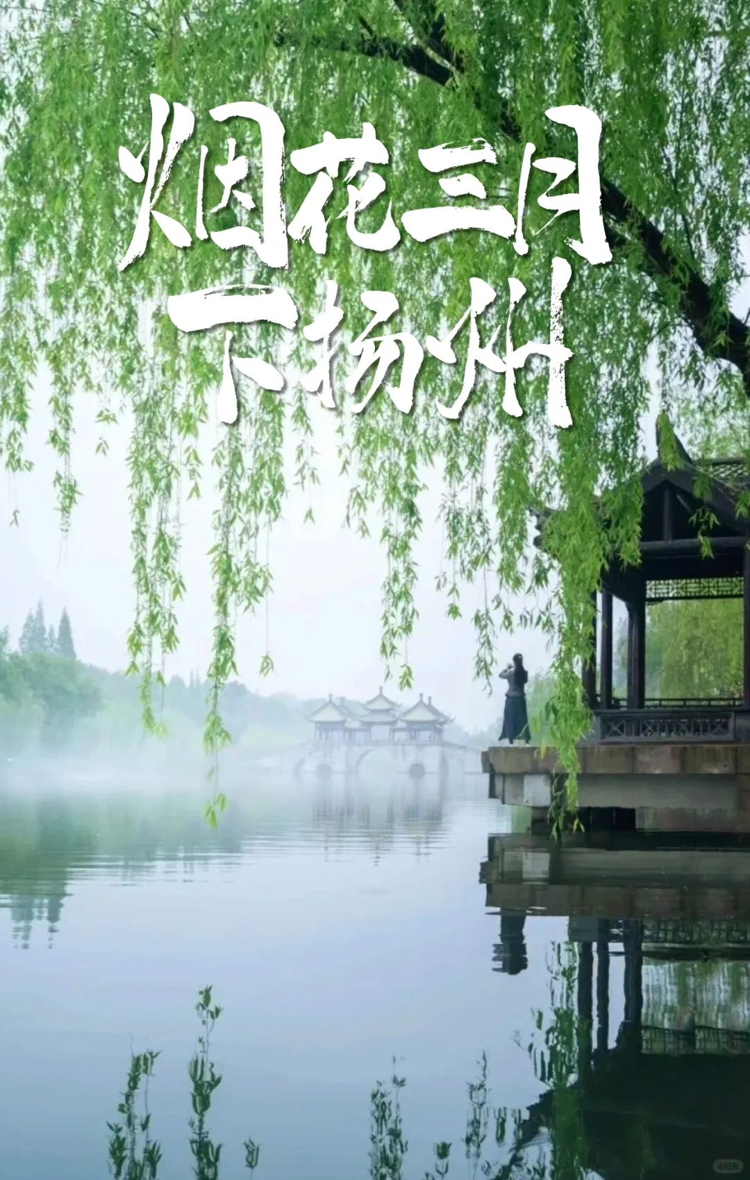 瘦西湖!烟花三月下扬州!赏花游玩最全攻略来了!快马住~