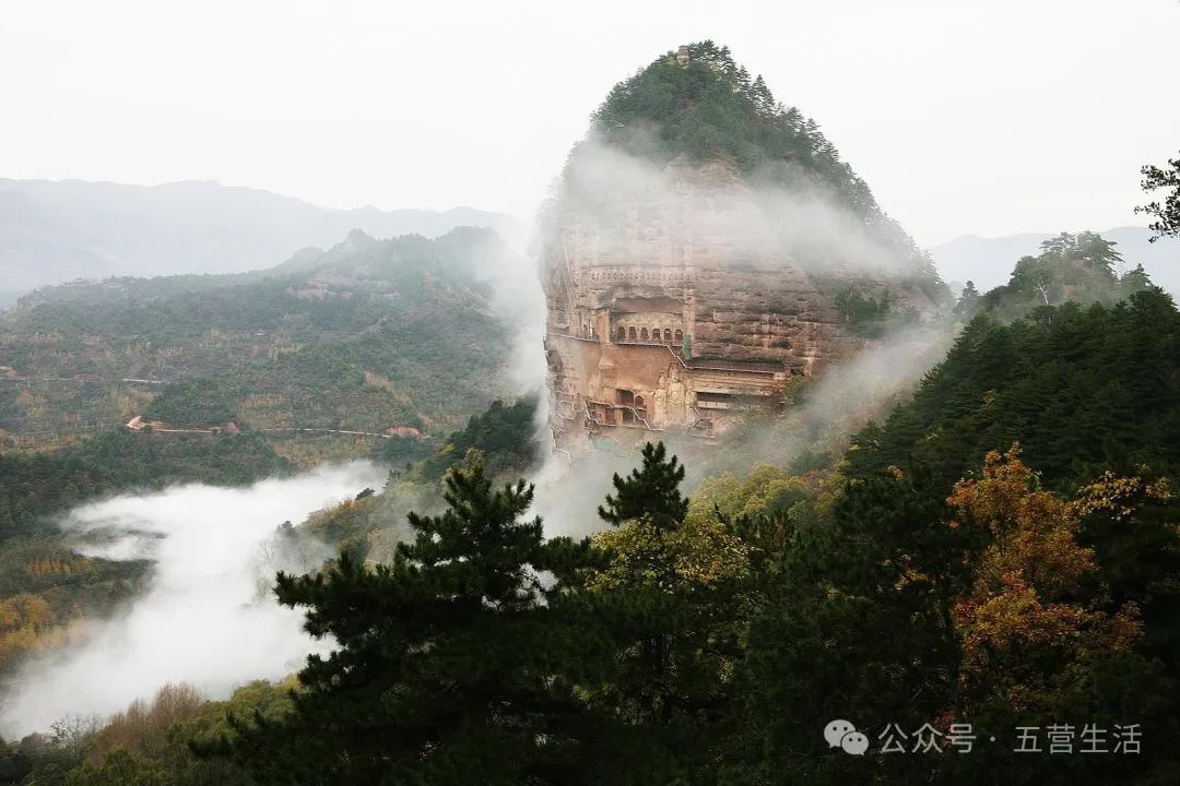 正在招商!秦安县五星级酒店等37个重点文旅项目等您来