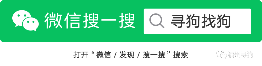 #福州寻狗# 连江县湖滨路凯宾国际大酒店附近走失一只柯基,如有好心人看到或者收留请联系主人或本平台