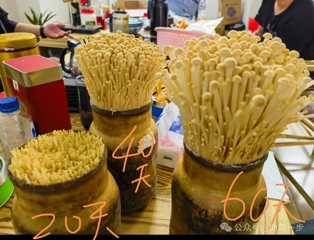 旅行 || 珠三角自驾游(四)