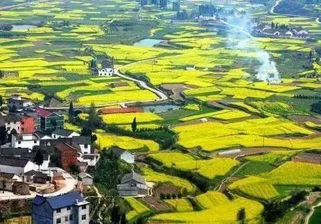 【周末自驾】2024.3—6 “爸爸去哪儿”取景地新叶古村、大慈岩自驾2日游