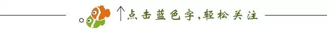 筑梦甲辰年,志愿奇石林——我在石林风景区做志愿者