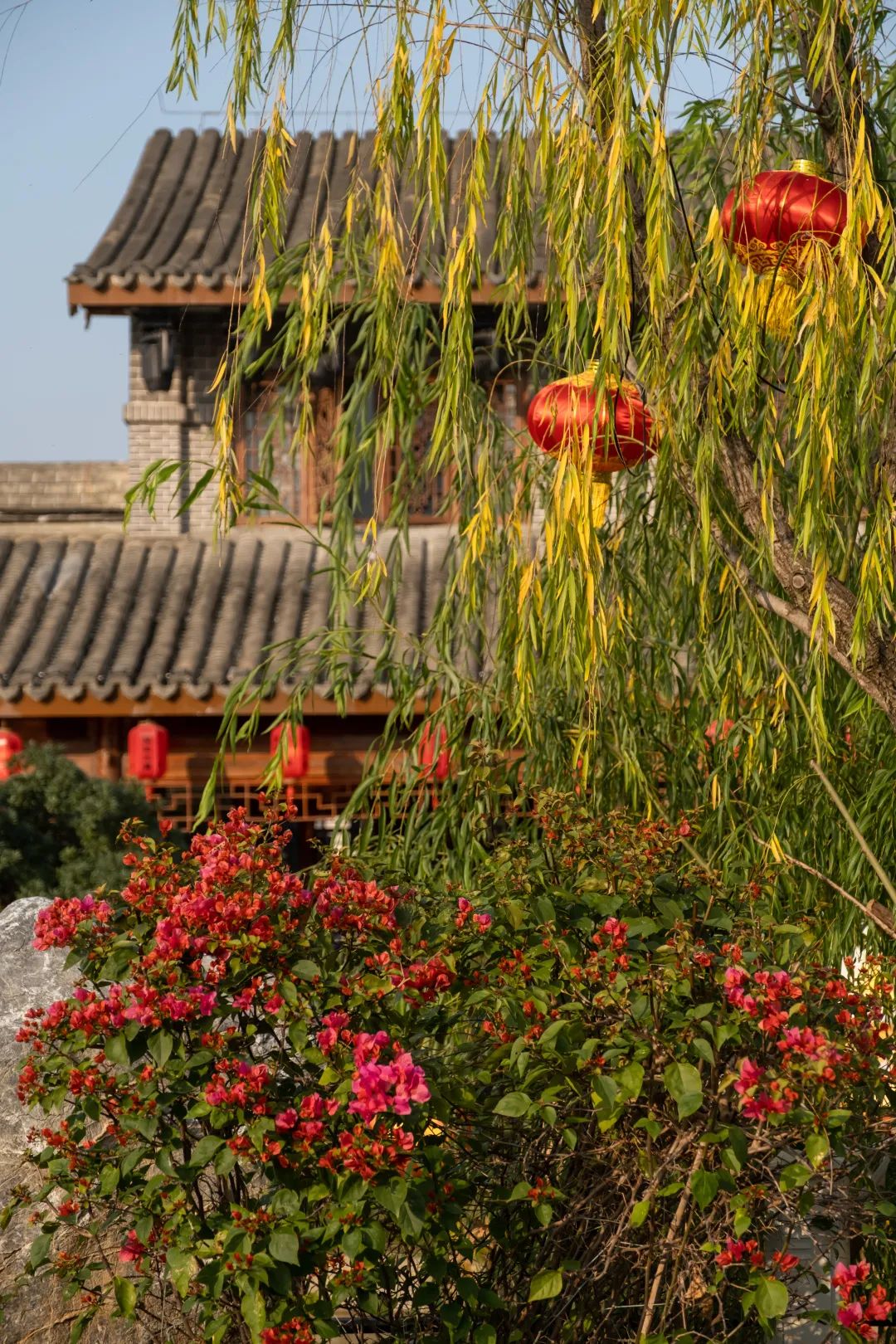 【霞浦滨海旅游】三月女神季~烟台山/万佛寺/闽越水镇汽车1日游