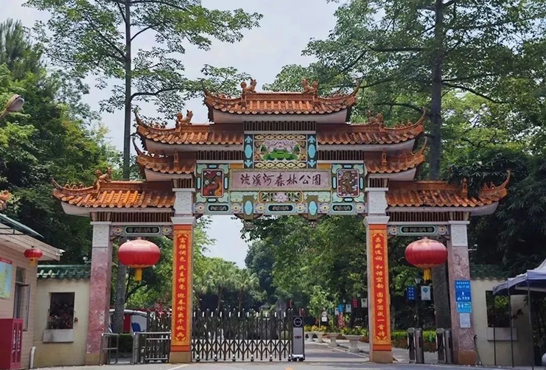 打折!免费!广东多个景区宣布