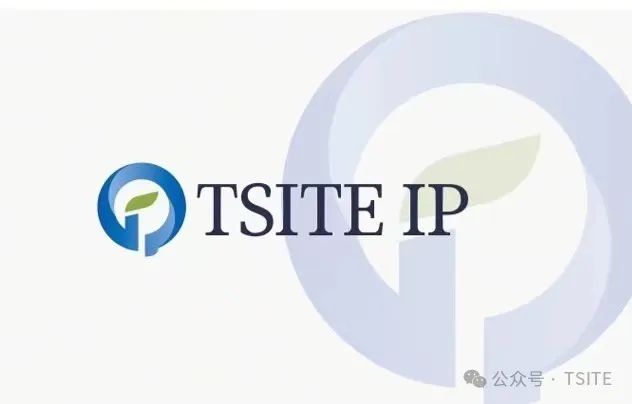TIP(TSITE IP):旅游管理专业职业发展路径