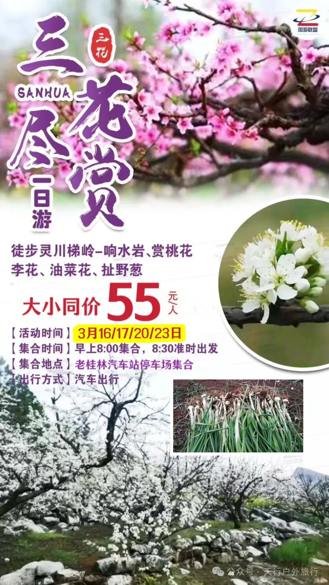 【三花尽赏一日游】3月16/17/20/23日,徒步灵川梯岭-响水岩,赏桃花、李花、油菜花,扯野葱 一55元