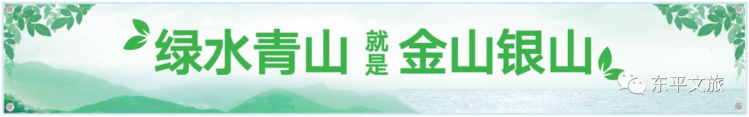 东平之隅 心灵归宿|塘坊民宿②