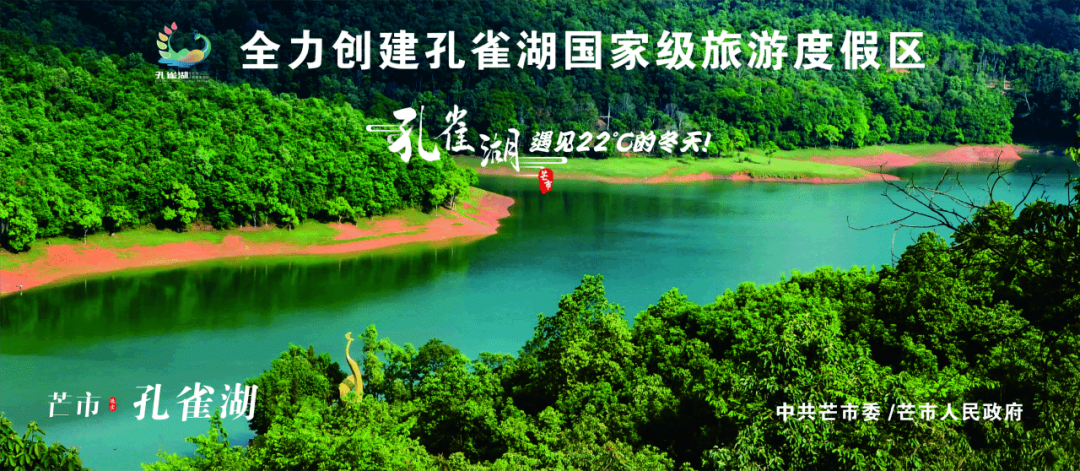 芒市文化和旅游局组织开展学雷锋暨“文明实践我是行动者”主题活动