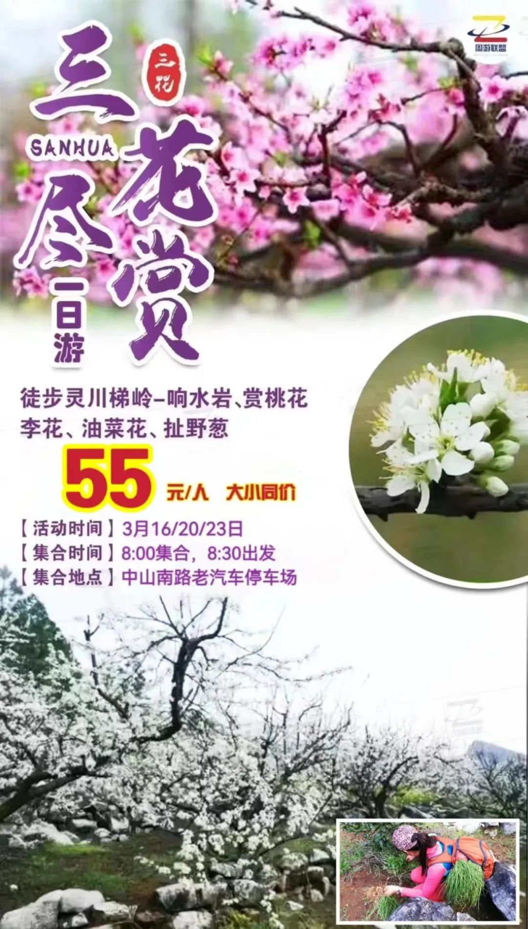 3月,桂林周边跟团1日游