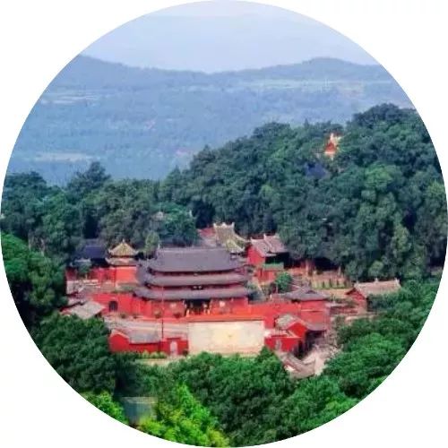 女神节免门票│七曲山邀您一起共赴春日浪漫!