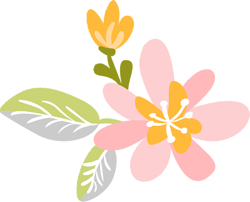 『一路芳菲』“三八节”周边游线路推荐