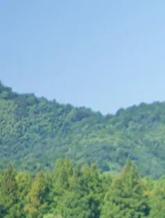 第二届中国大学生旅游管理虚拟仿真大赛第五批热身试用即将开始