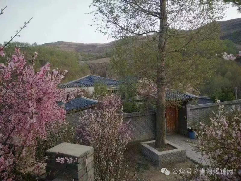 总寨大型度假山庄转让