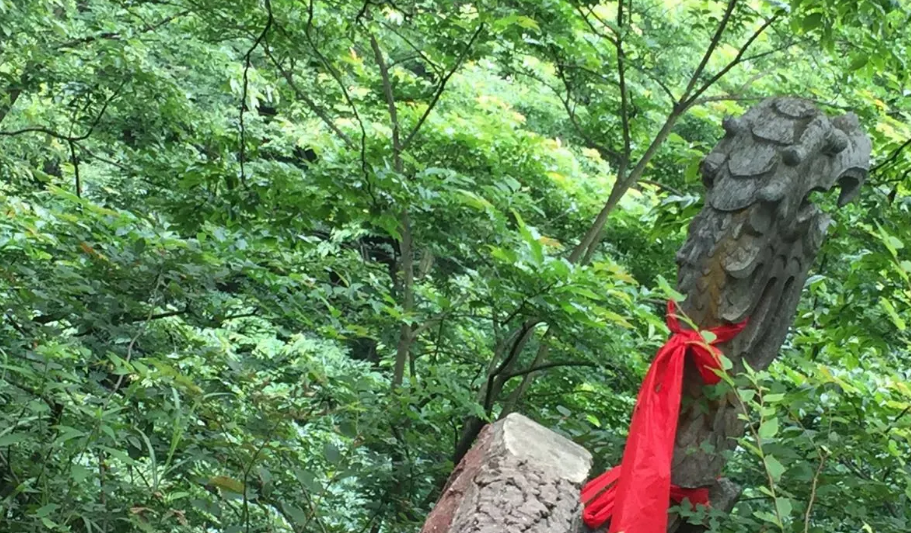 新邵白云岩——3A景区——湖南邵阳景点