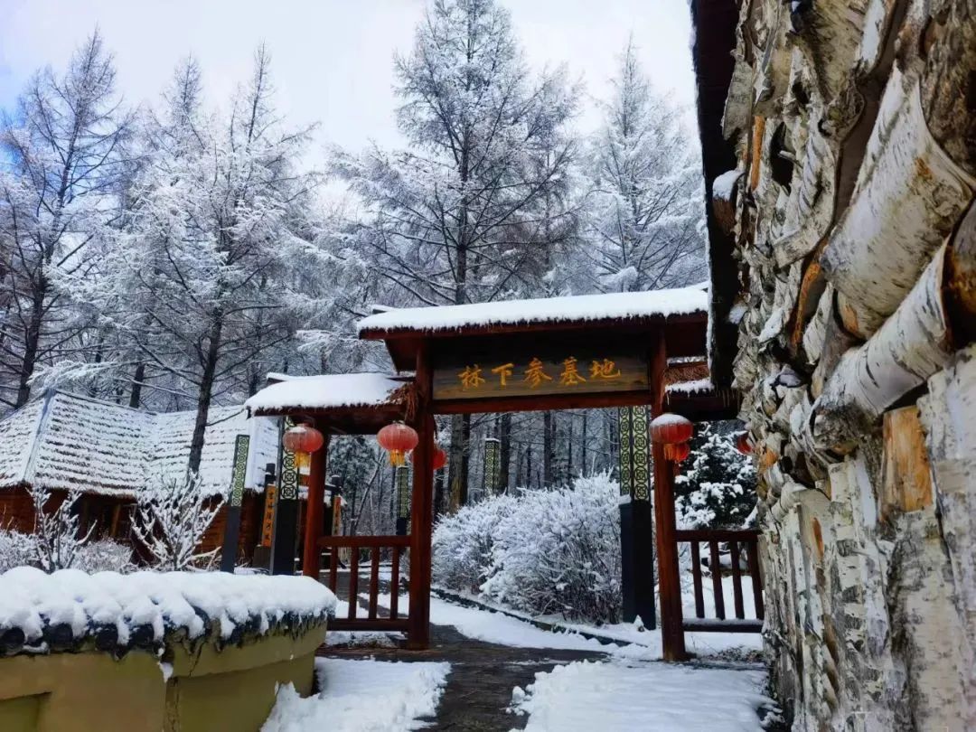 延边八大县市1日游|安图