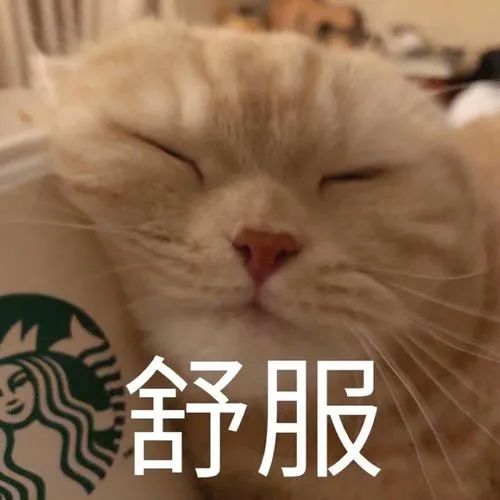 最美广州赏花景点!