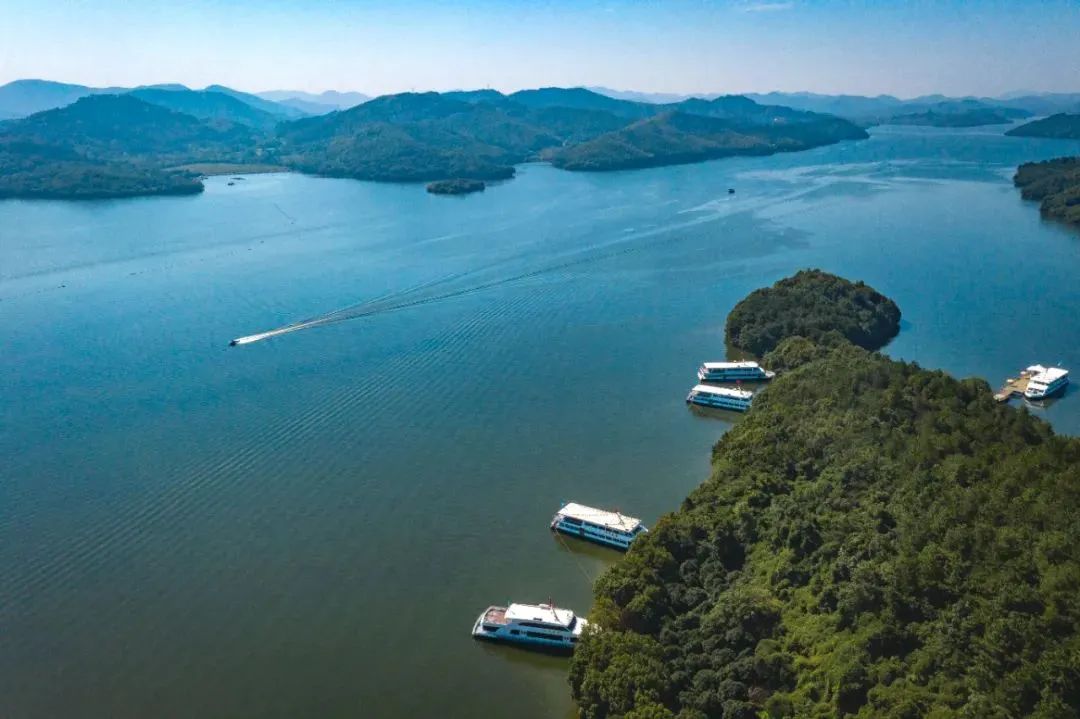 1晚含正餐|溧阳南山竹海叁朵花民宿2天1晚520起含双人下午茶+双人中式午餐/晚餐1份!清明不加价!