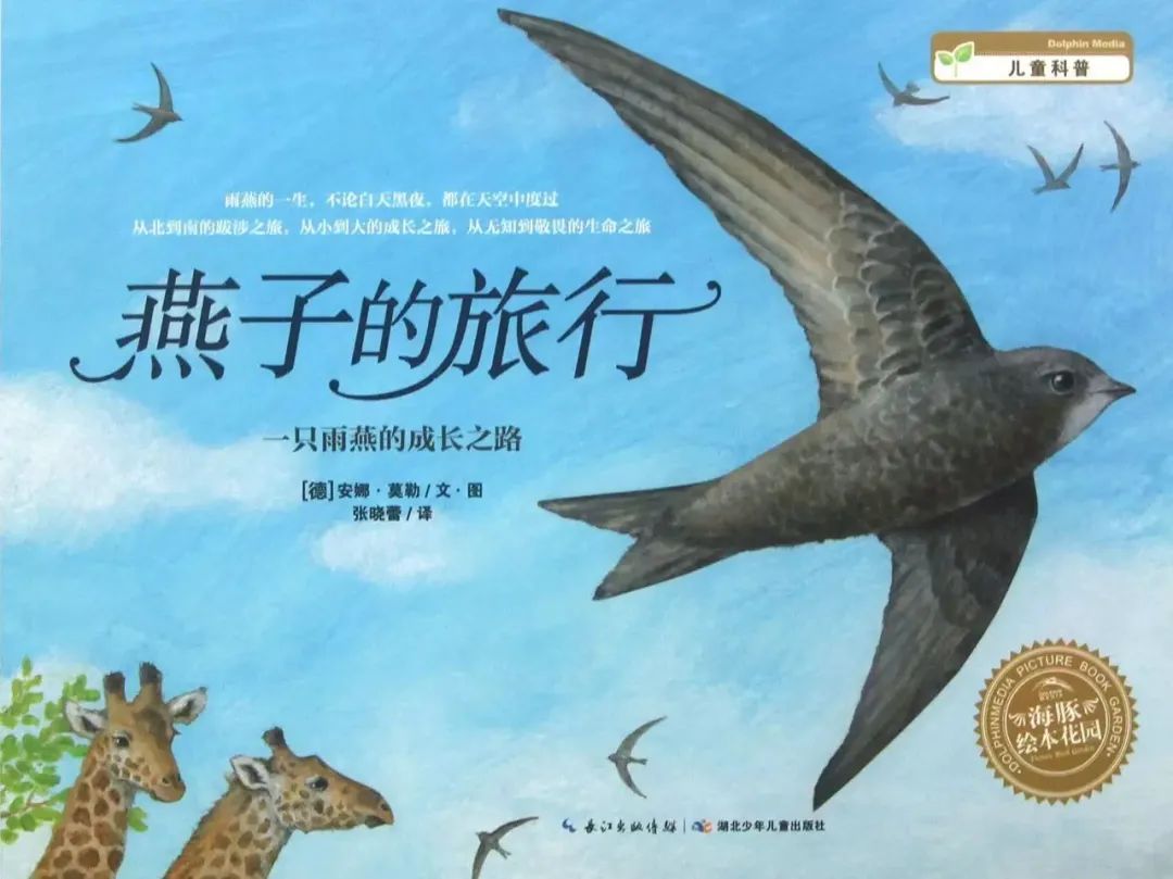 【晚安故事】燕子的旅行